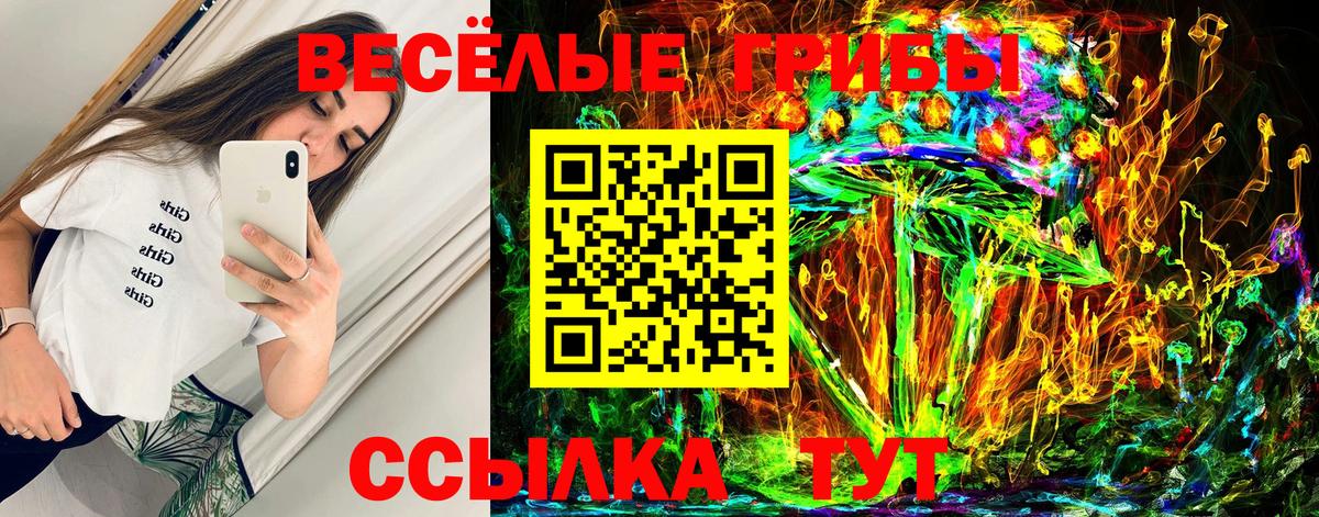 Нефтекумск  Галлюциногенные грибы мухоморы  Вход с VPN 
